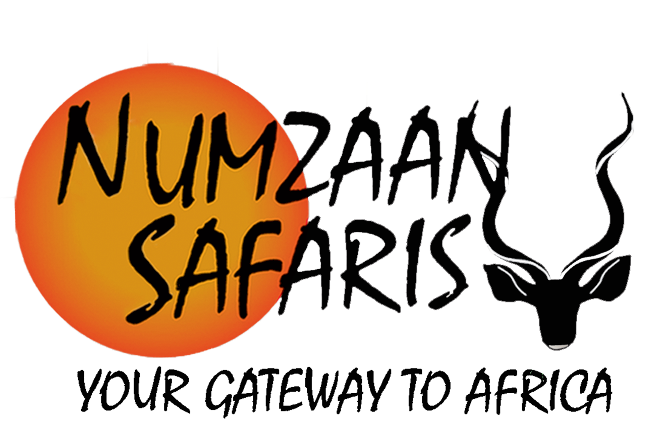 7-day African Hunting Safari